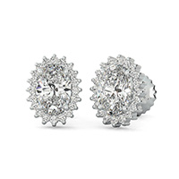Halo Basket Earrings