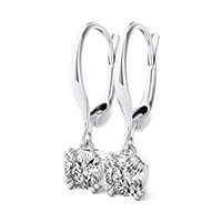 Double Prong Leverback Earrings