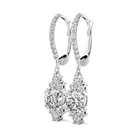Accented Drop Earrings